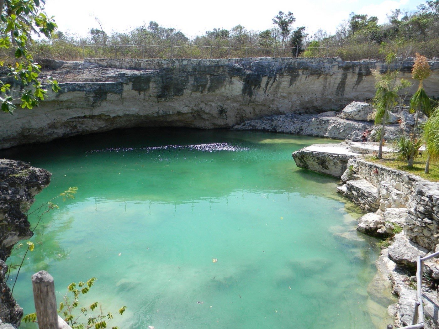 Cenote abierto con agua turquesa cristalina rodeado de roca caliza — el ambiente del cenote Nomozón que visitamos primero