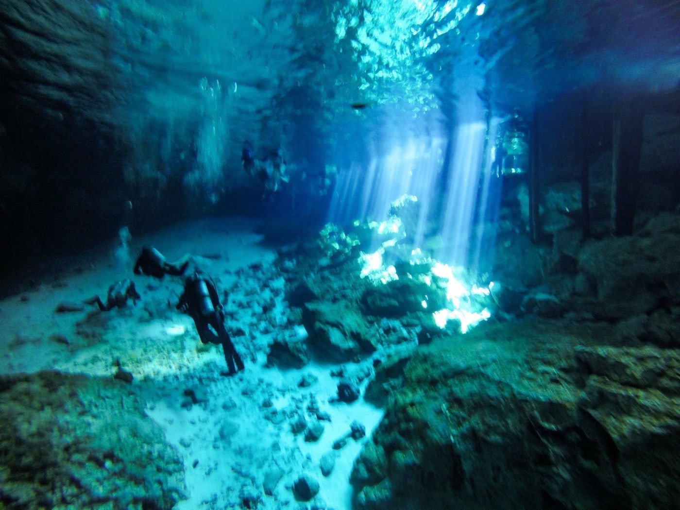 Buceo en Cenotes desde Progreso