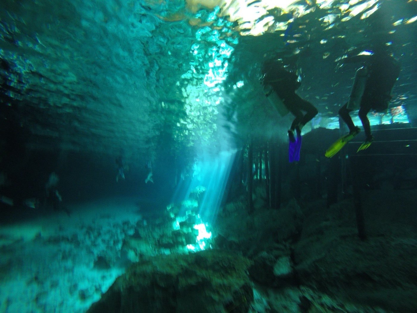 Dos buzos principiantes siendo acompañados cerca de la superficie en un cenote durante un bautismo discover scuba
