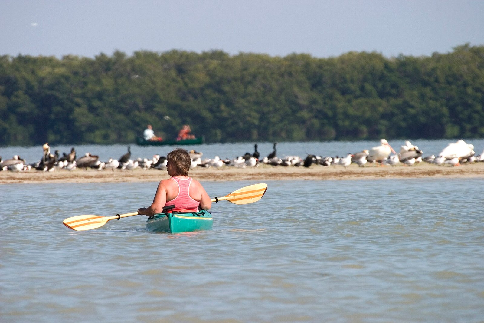 Kayak in Progreso Yucatán