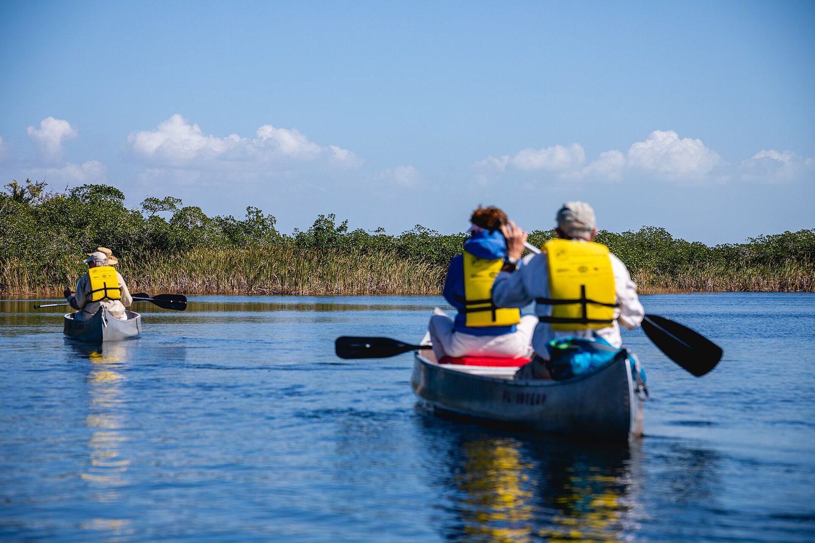 Group of kayakers paddling a calm mangrove waterway on a guided eco-tour — the San Crisanto kayak-plus-cenote combo