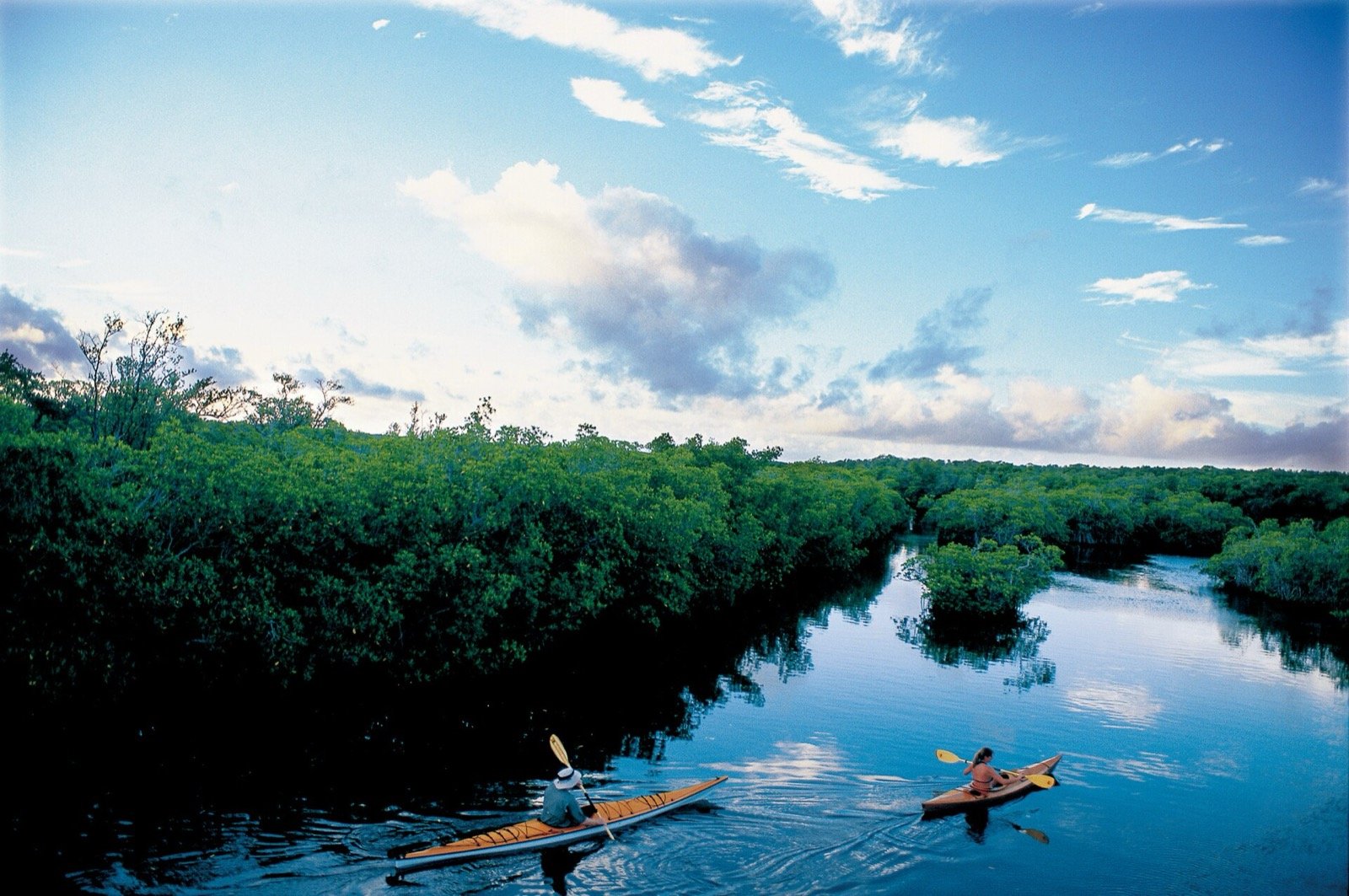 Two kayakers paddling through a calm mangrove channel — the signature view of our Chelem estuary eco-tour