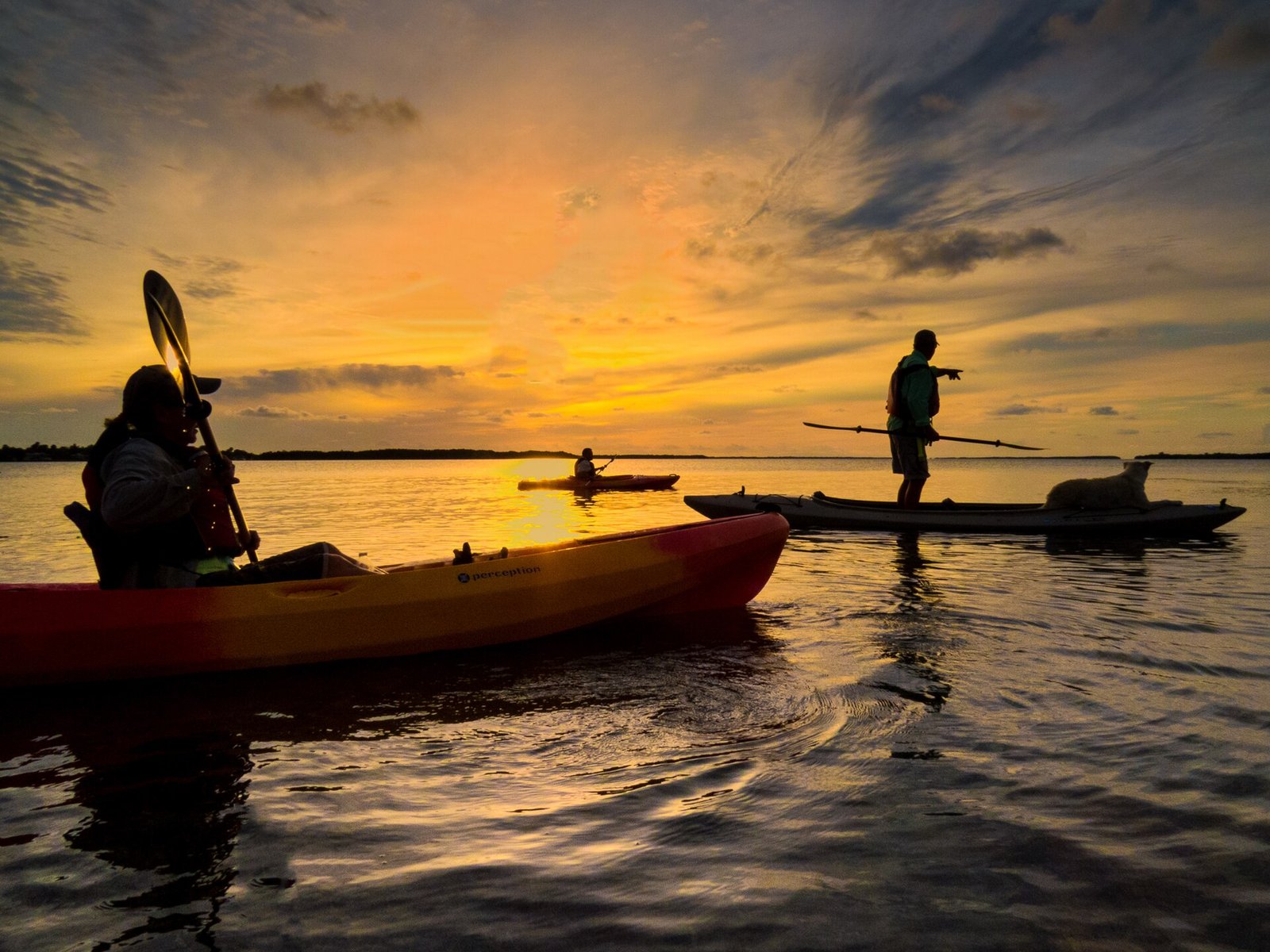 Kayakers in silhouette paddling on open water at golden hour — the setting of our Progreso coast kayak rentals