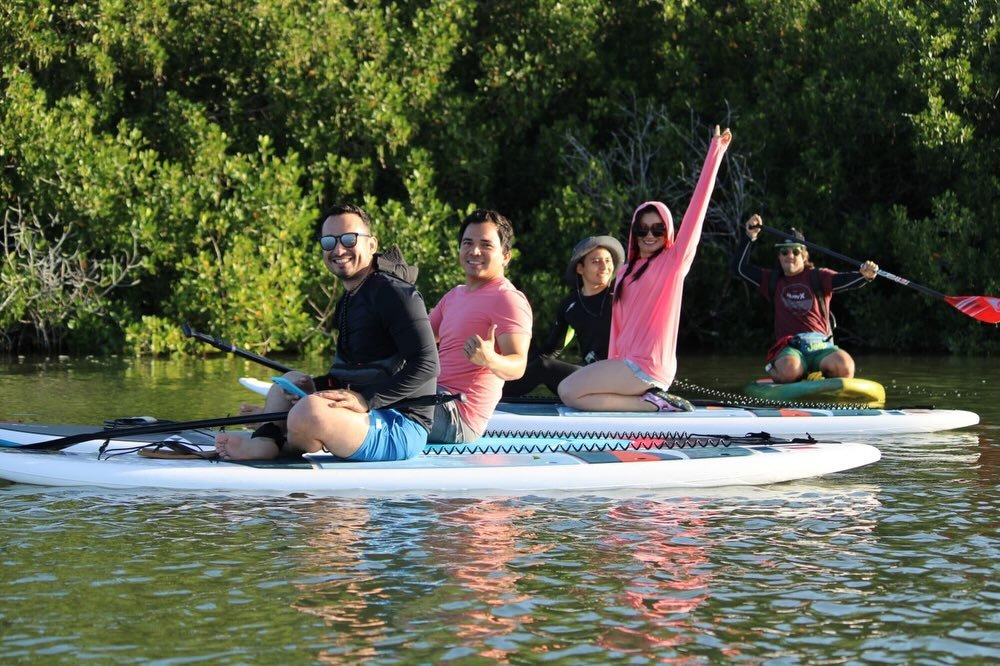 Grupo de paddleboarders en el estuario de manglar Chelem–Chuburná — la ruta en manglar del tour guiado de paddleboard en Progreso Yucatán