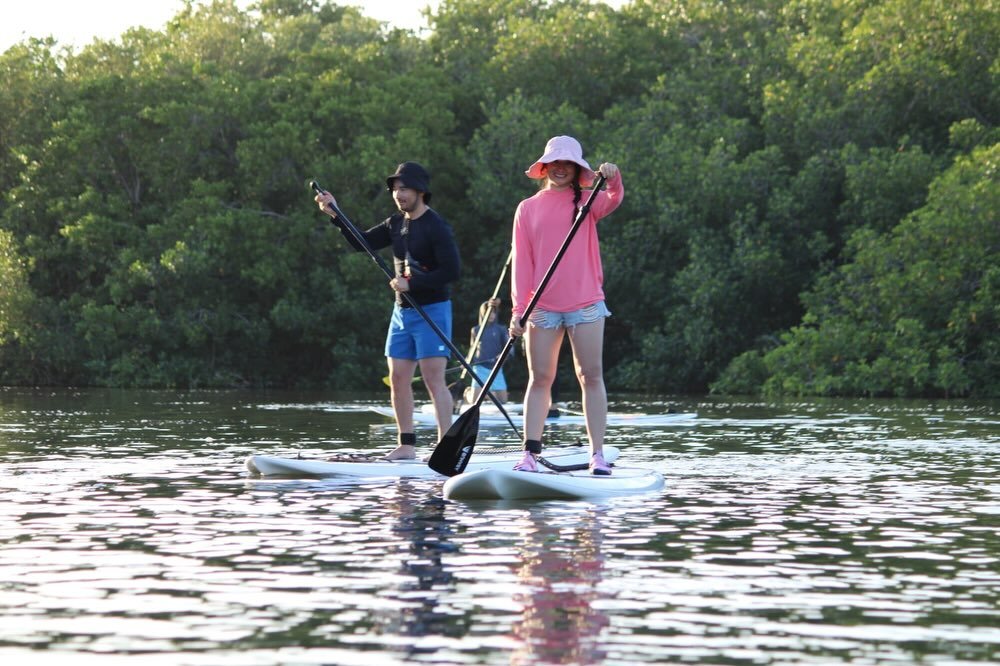 Dos paddleboarders deslizándose junto al manglar de Chelem — la salida de la tarde de 4:30 pm en Progreso