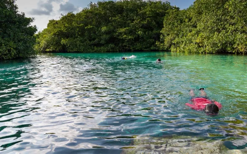 Snorkel en Cenotes