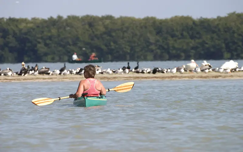 Kayak
