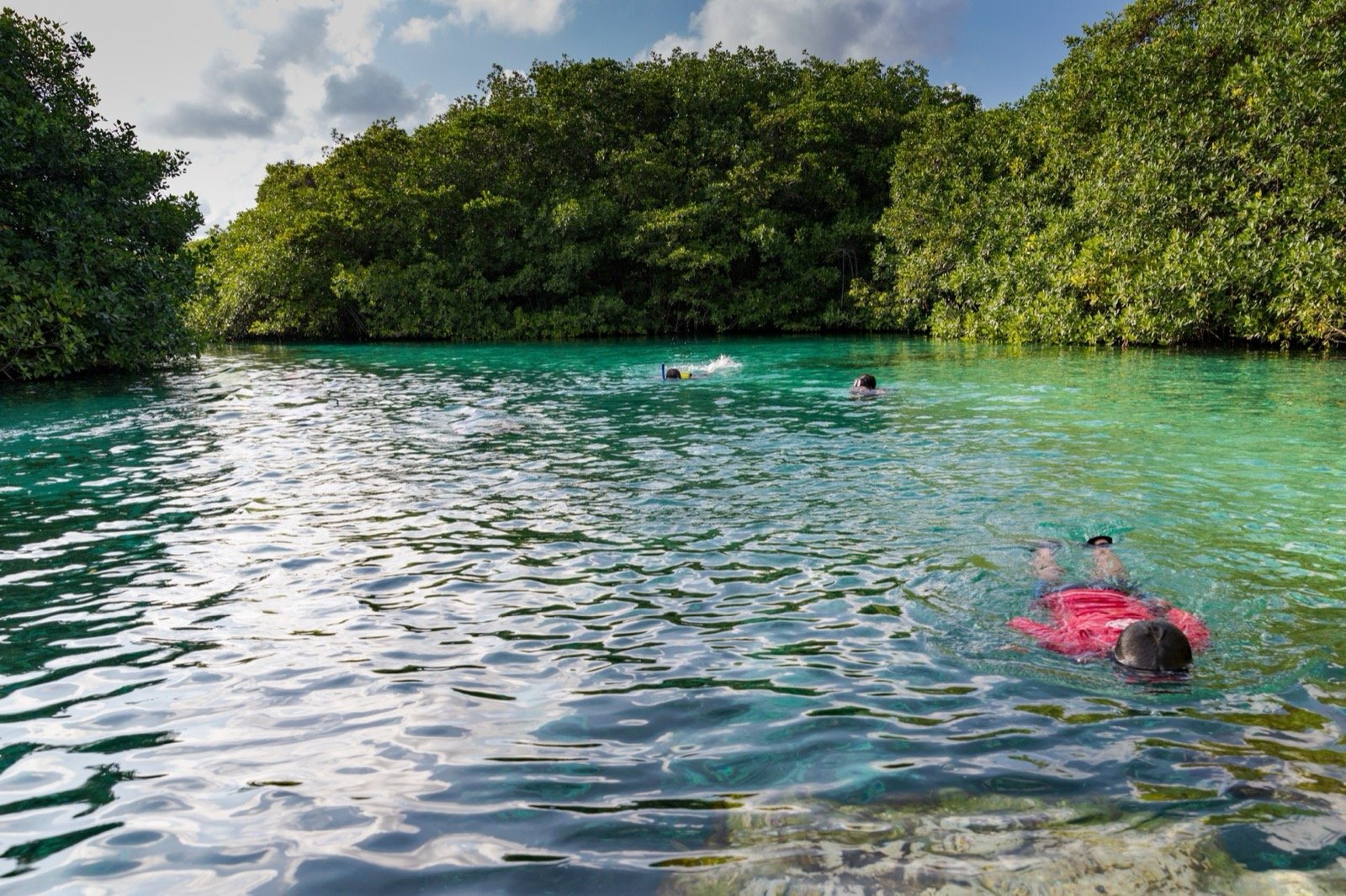 Snorkel en Cenotes