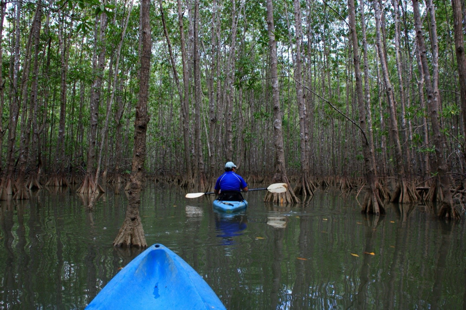 Kayak Sian Ka'an