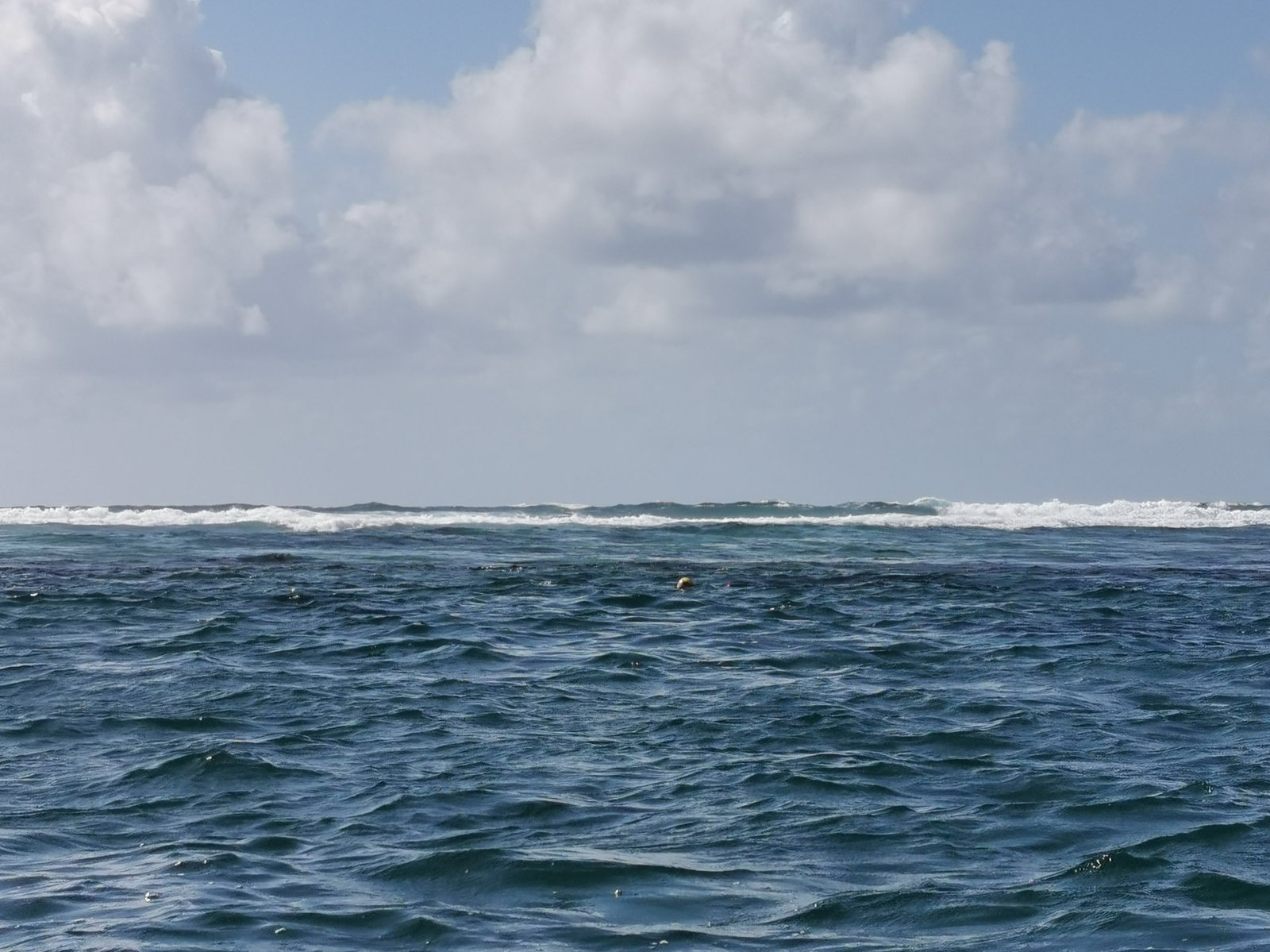 Diver above reef wall in Puerto Morelos National Park