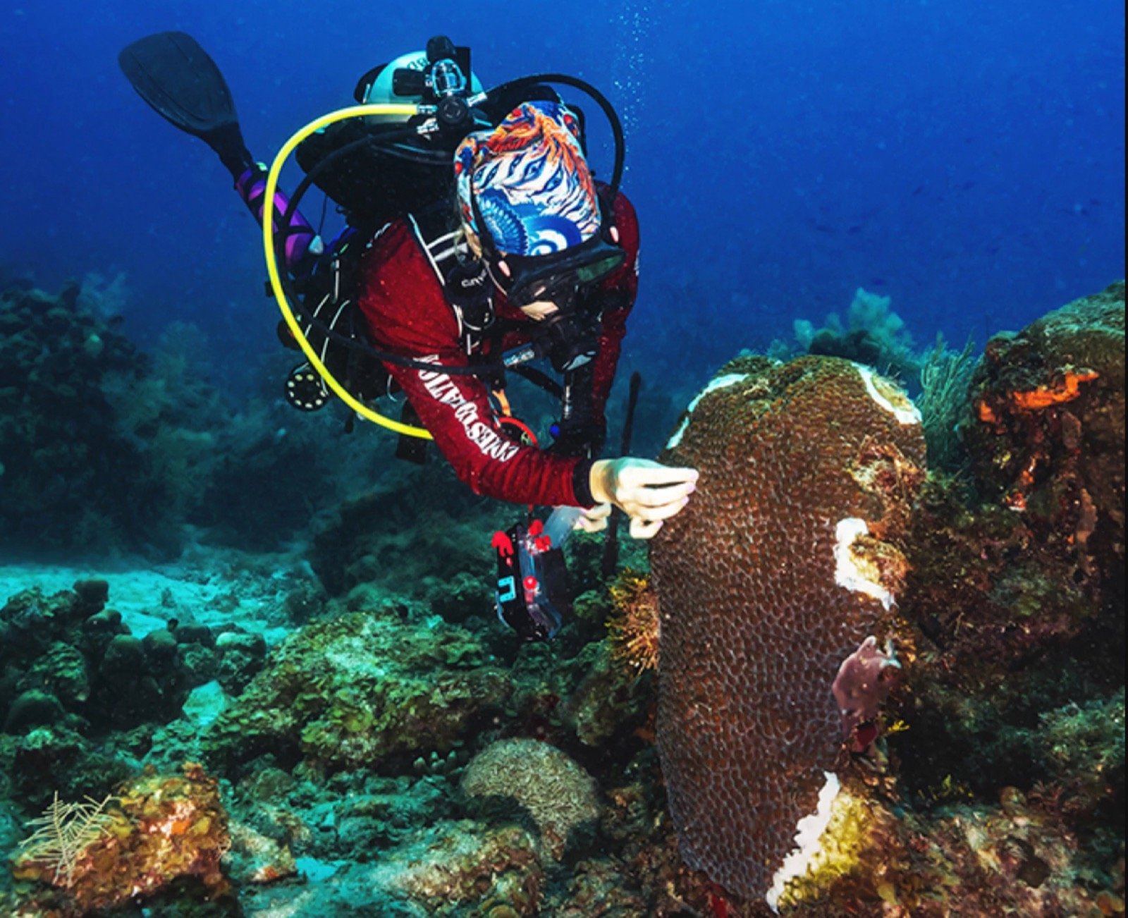 Buceo en Arrecife