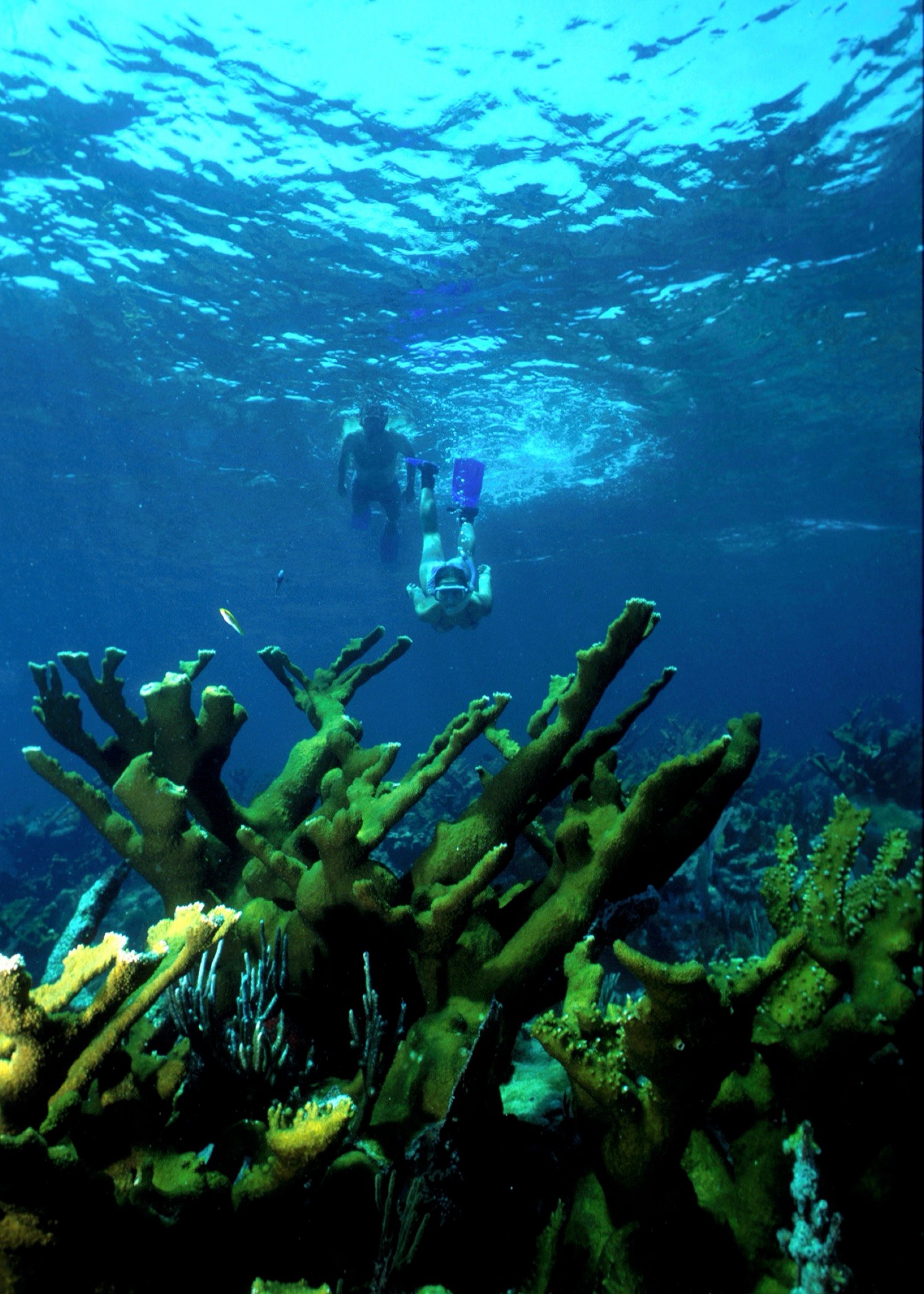 Snorkel en Arrecife