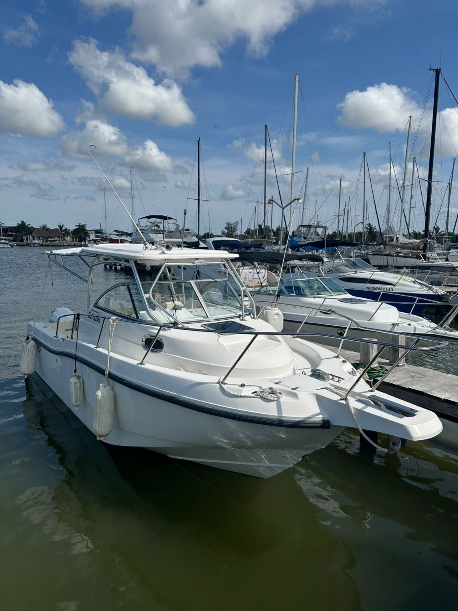 Boston Whaler 30 ft twin-outboard sport-fishing boat at Marina Yucalpetén ready for a charter out of Progreso Yucatán