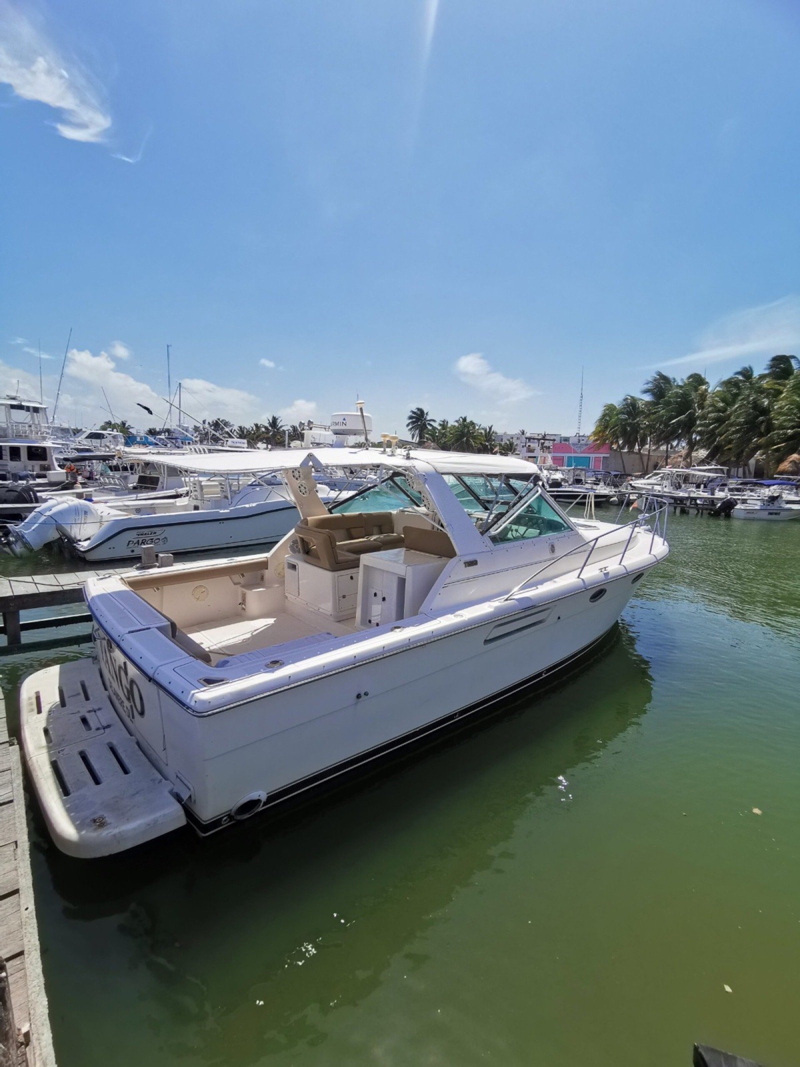 Tiara 34 ft convertible motor yacht docked at Marina Yucalpetén in Progreso Yucatán
