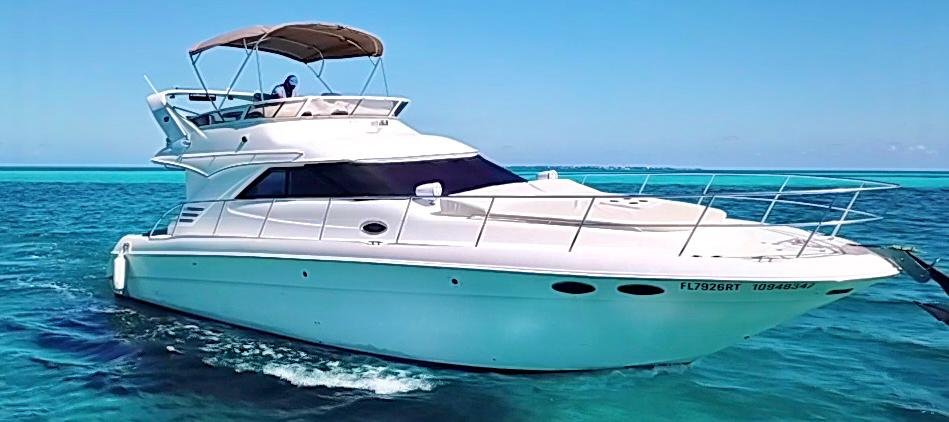 Flycatcher - Photo 6