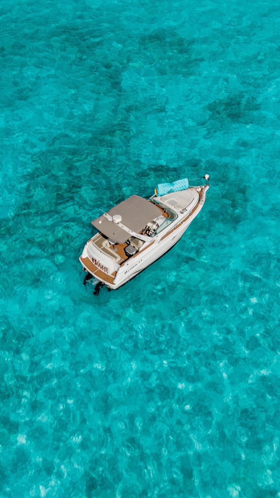 Hakuna Matata - Photo 3