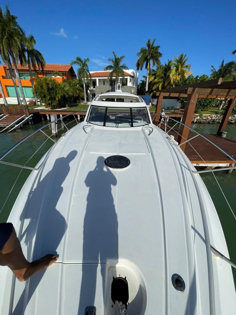 Sea Eagle - Photo 10